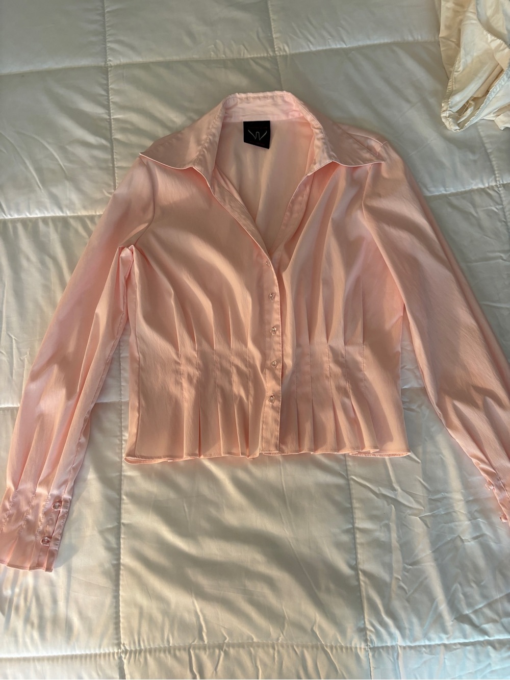Large Longsleeve Pink Blouse